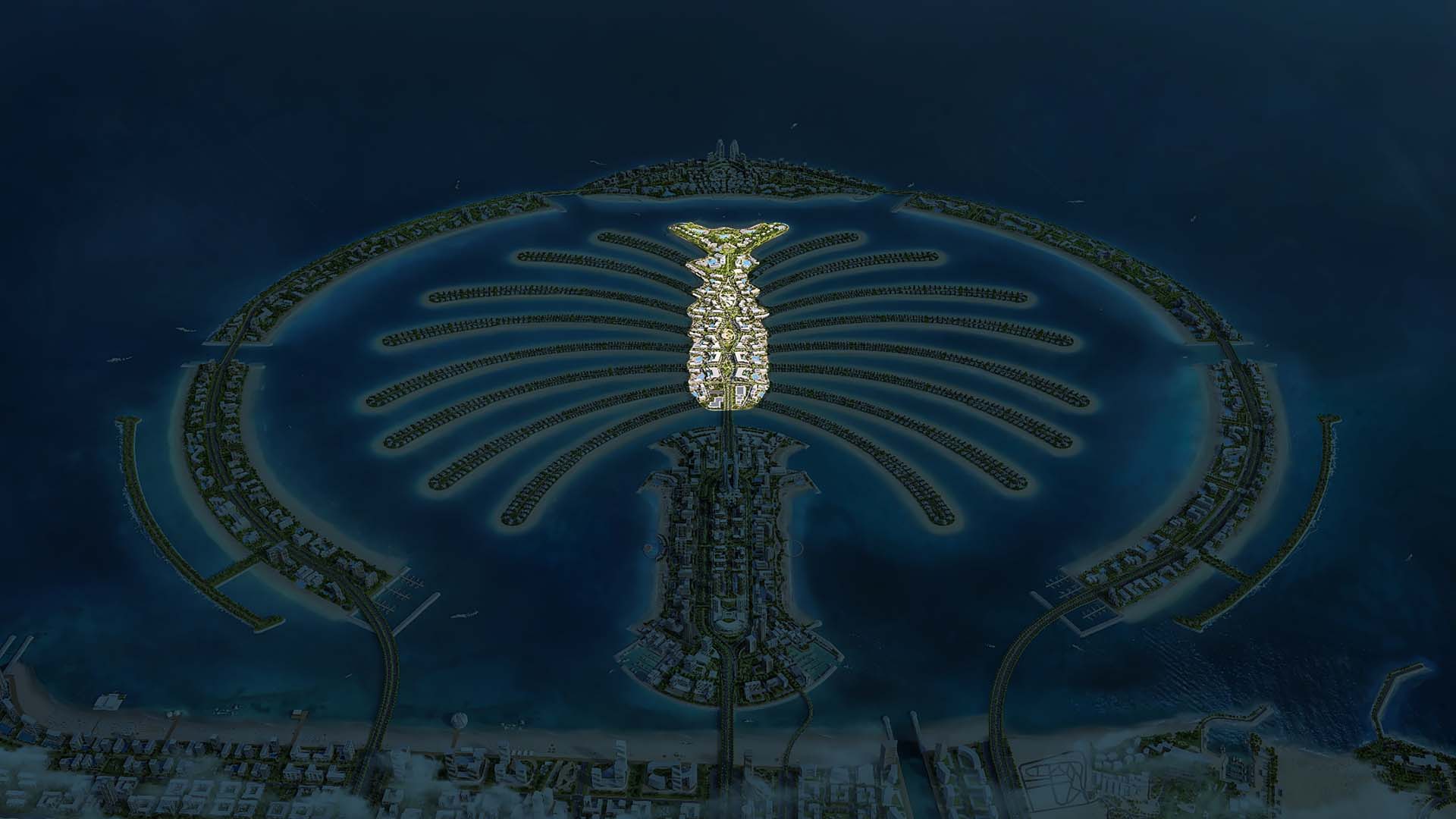 ستون فقرات The Spine