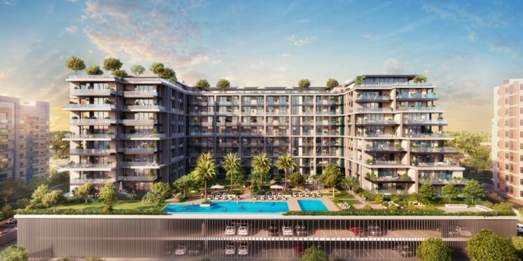 مستر پلن جداف