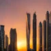 توسعه‌دهندگان برتر امارات